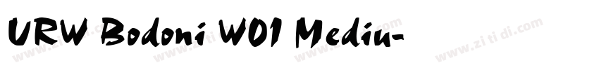URW Bodoni W01 Mediu字体转换